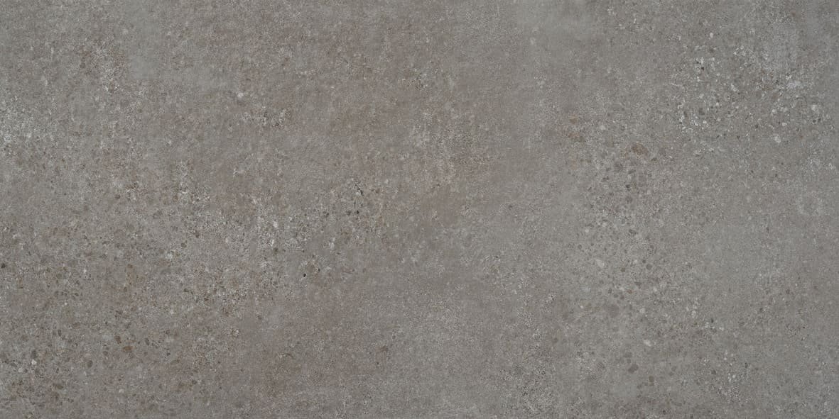 RODAS GRIS MATE 60X120 Serie Rodas - Imagen 9